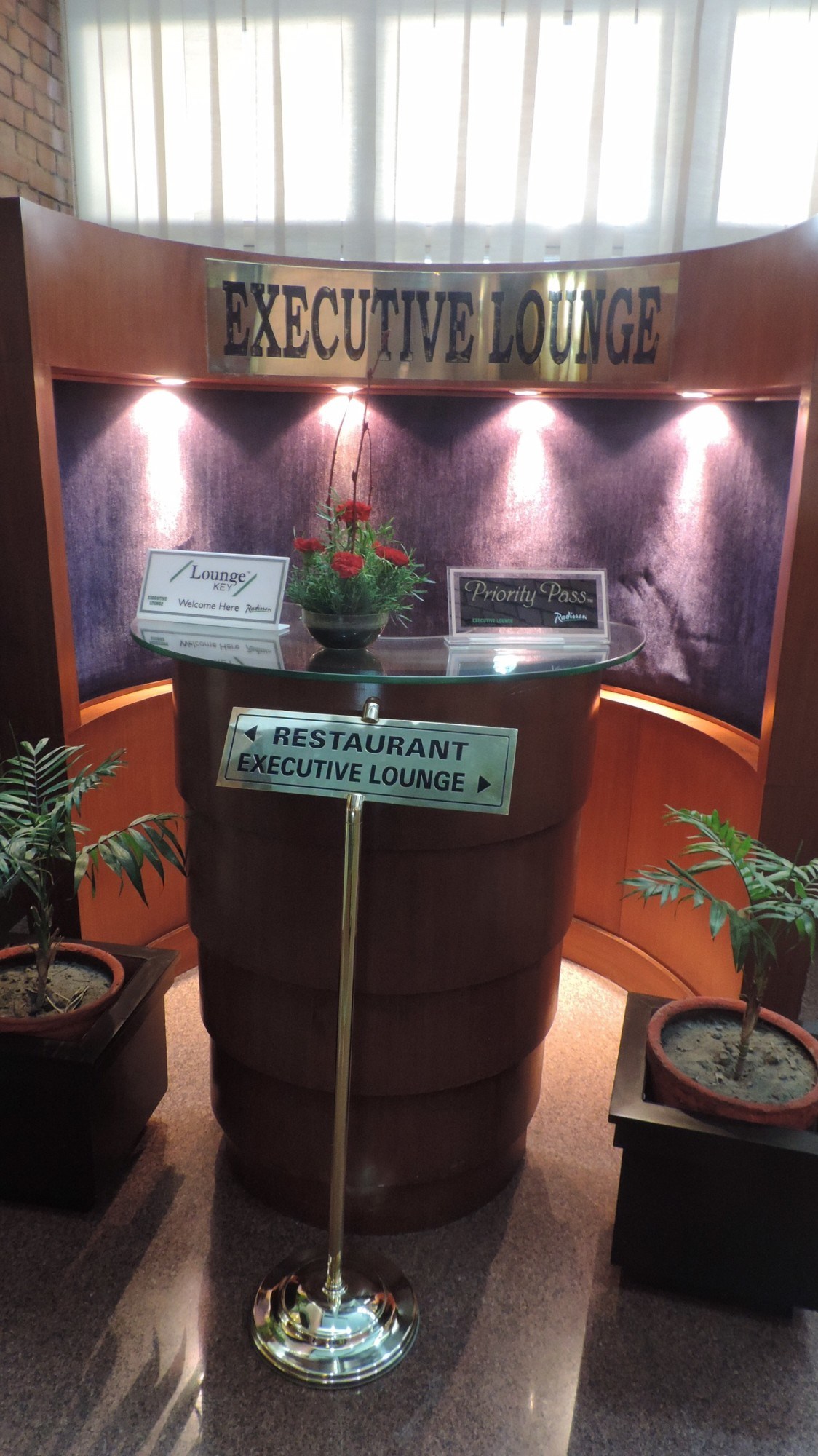 Radisson Executive Lounge (Premium Class Lounge) — food & bar